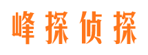 惠民资产调查